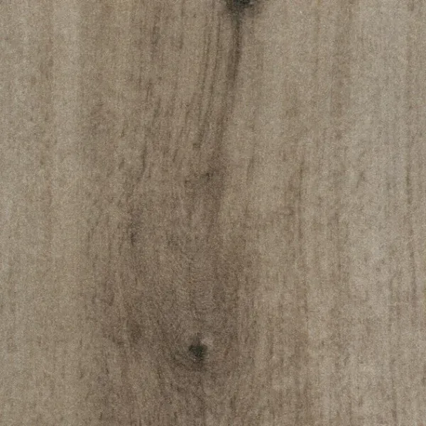 „Girloon Cara 233023 – Velours Teppichboden in wohnlicher Raumansicht mit strukturierter, strapazierfähiger Oberfläche in 400 cm Breite“